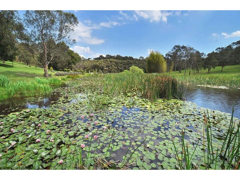 13 Cherry Road, Macclesfield VIC 3782