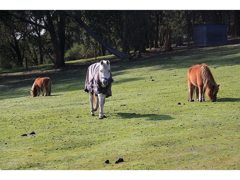 13 Cherry Road, Macclesfield VIC 3782