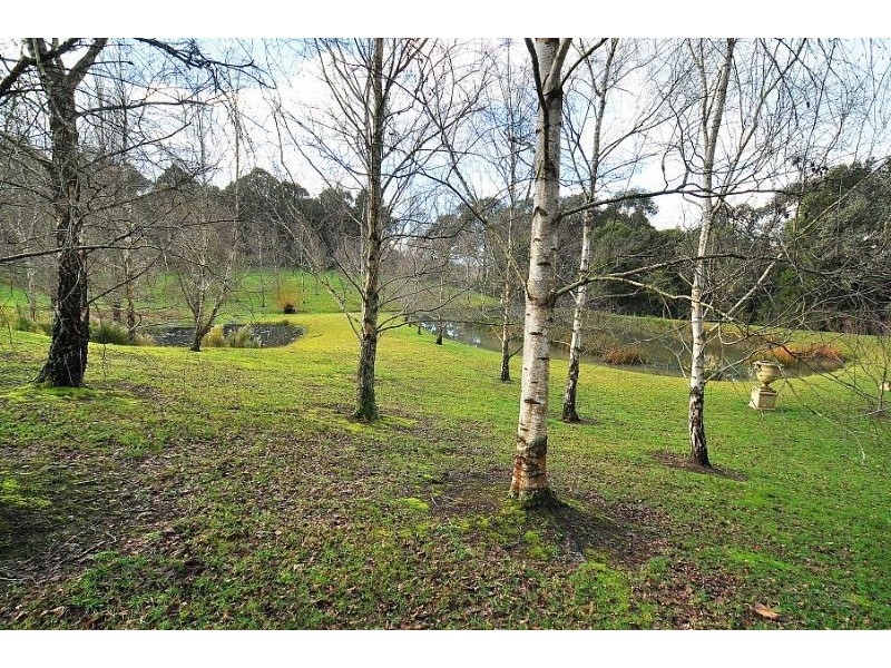 390 Macclesfield Road, Macclesfield VIC 3782