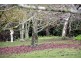 390 Macclesfield Road, Macclesfield VIC 3782