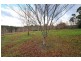 390 Macclesfield Road, Macclesfield VIC 3782