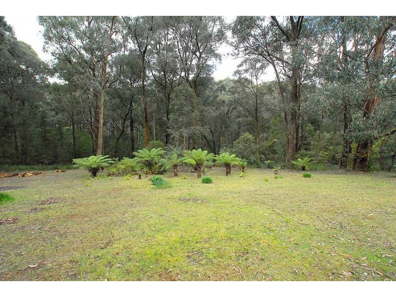 54 Livio Road, Gembrook VIC 3783