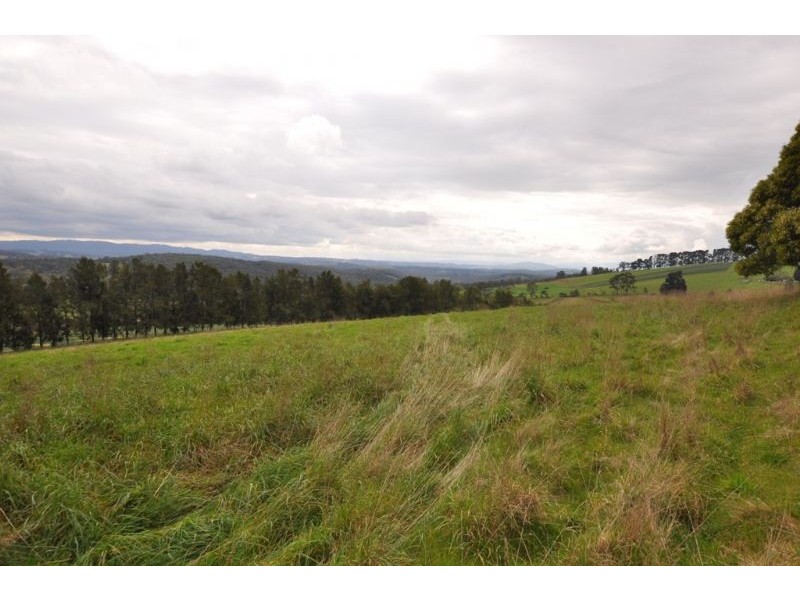 Lot 1/311 Ure Road, Gembrook VIC 3783