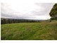 Lot 1/311 Ure Road, Gembrook VIC 3783