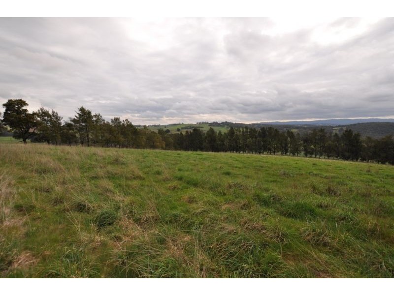 Lot 1/311 Ure Road, Gembrook VIC 3783