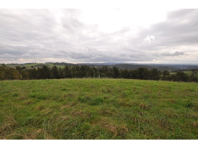 Lot 1/311 Ure Road, Gembrook VIC 3783