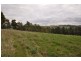 Lot 1/311 Ure Road, Gembrook VIC 3783