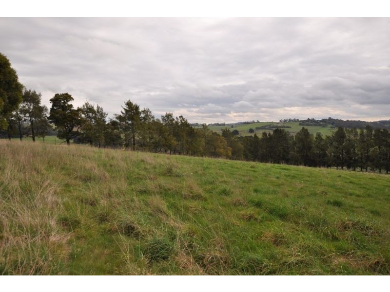 Lot 1/311 Ure Road, Gembrook VIC 3783