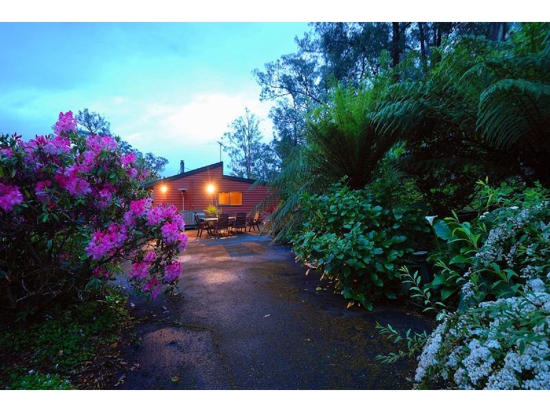 47 Mountain Road, Cockatoo VIC 3781