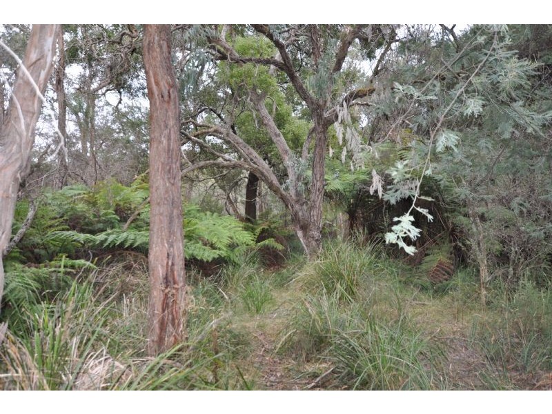 840 Macclesfield Road, Yellingbo VIC 3139