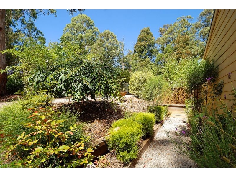 13 Wright Road, Avonsleigh VIC 3782