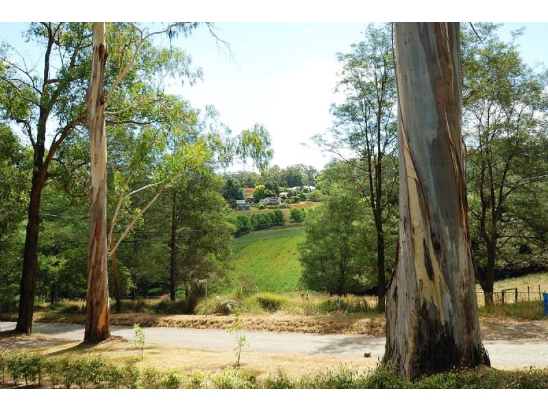 13 Wright Road, Avonsleigh VIC 3782