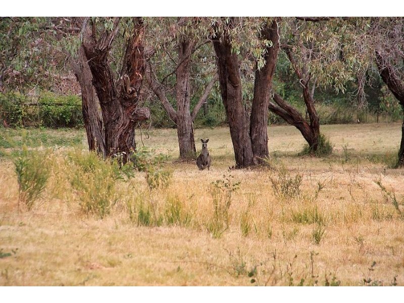 395 Evans Road, Cockatoo VIC 3781