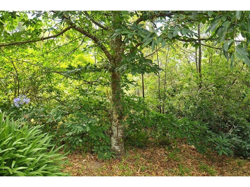 395 Evans Road, Cockatoo VIC 3781