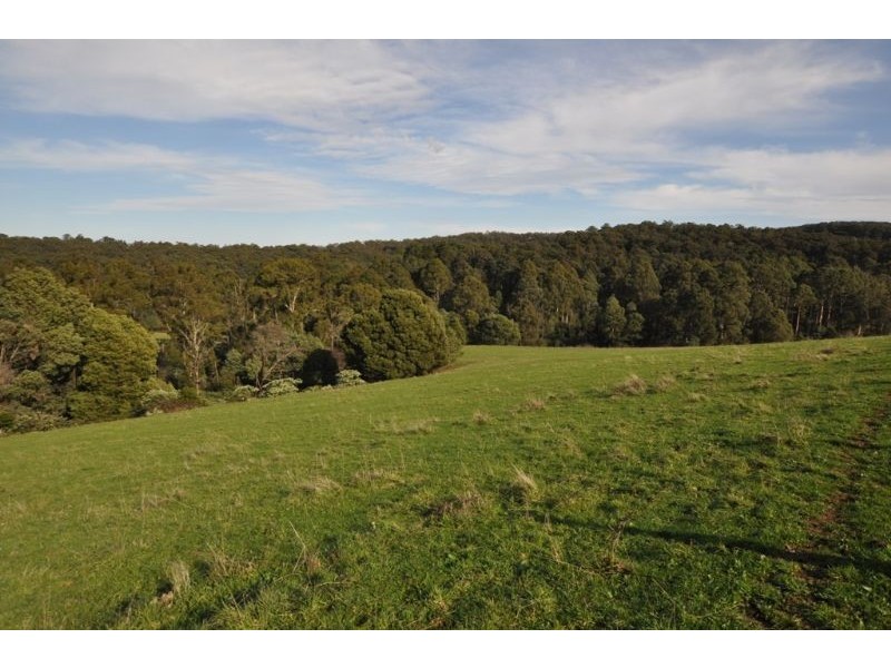 290 Paternoster Road, Cockatoo VIC 3781