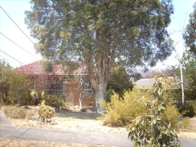 8 Aurisch Avenue, Glen Waverley VIC 3150