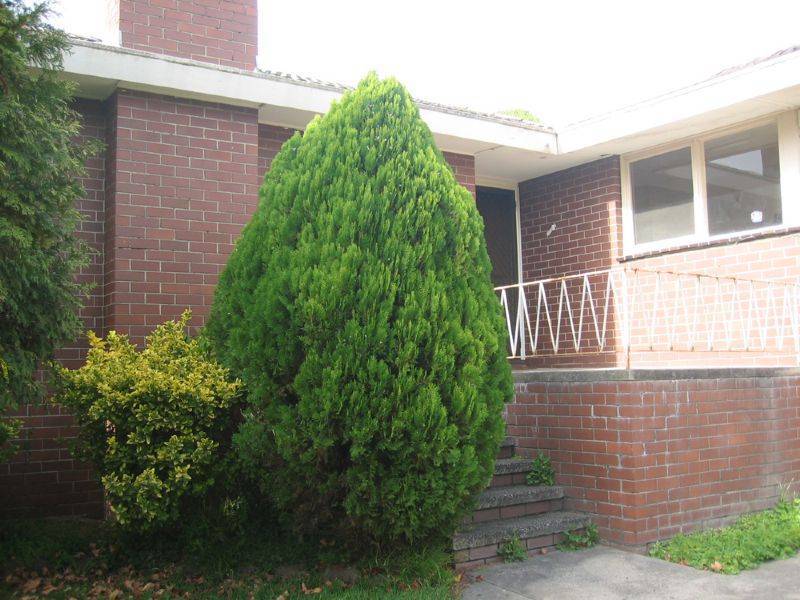 37 Driftwood Drive, Glen Waverley VIC 3150