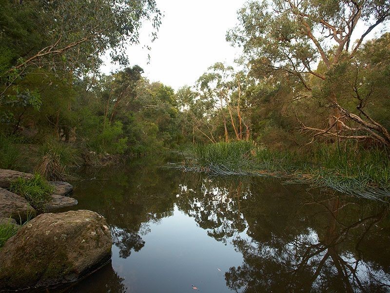 49 Alice Street, Mount Waverley VIC 3149