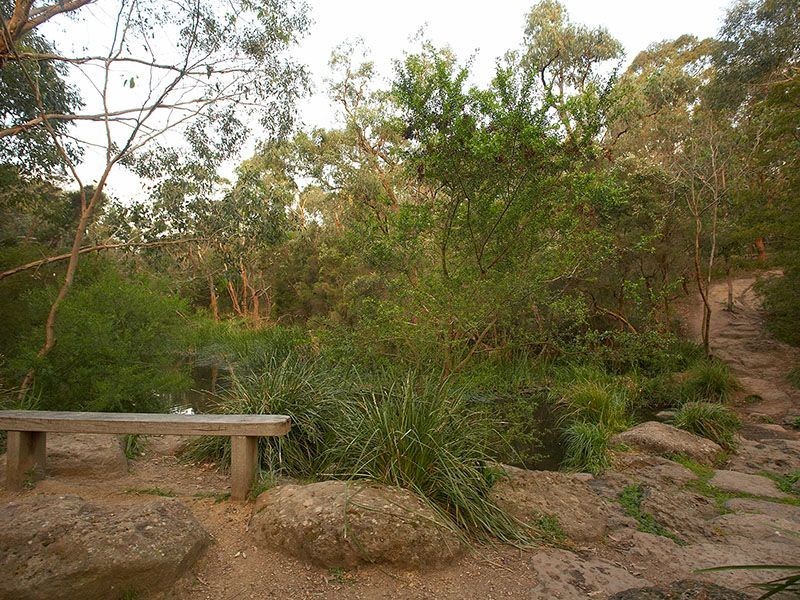 49 Alice Street, Mount Waverley VIC 3149