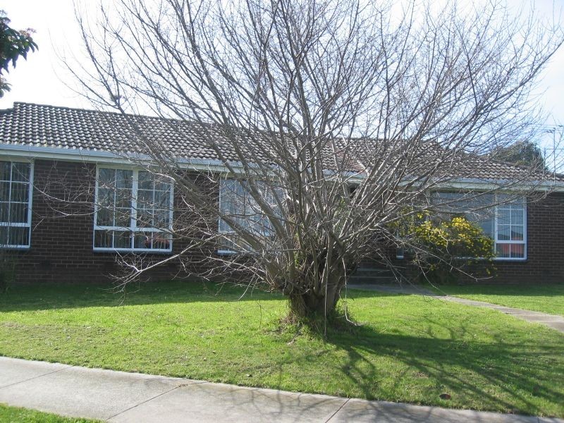 21 Mavista Ave., Glen Waverley VIC 3150