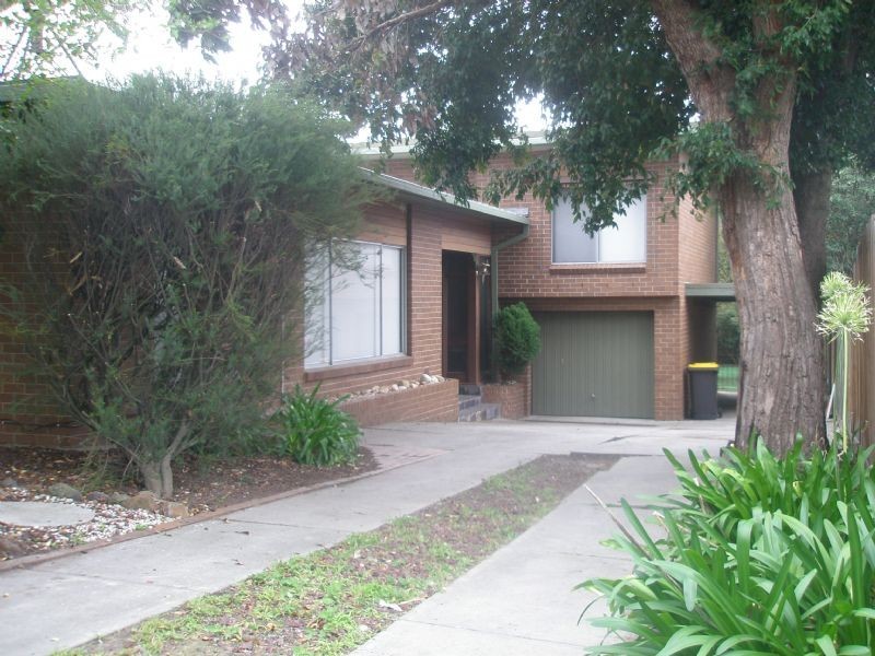 20 Shaw Street, Ashwood VIC 3147