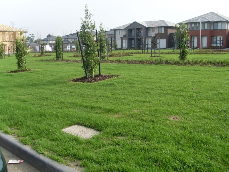 5 Molesworth Drive, Mulgrave VIC 3170