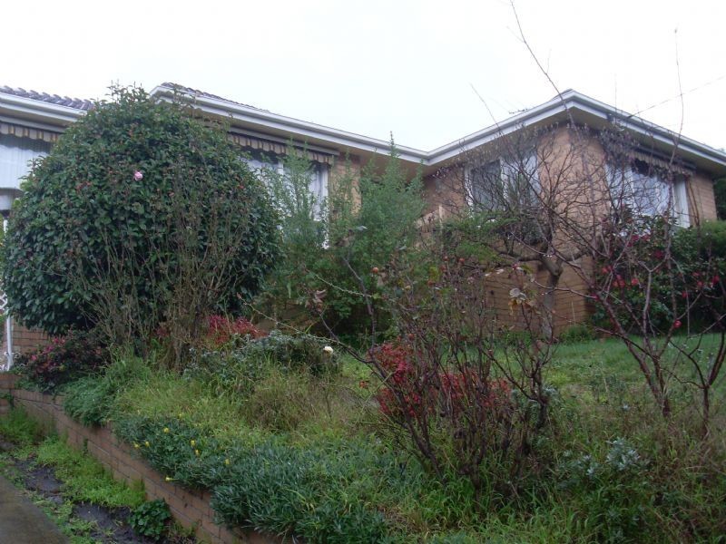 171 Stephensons Road, Mount Waverley VIC 3149