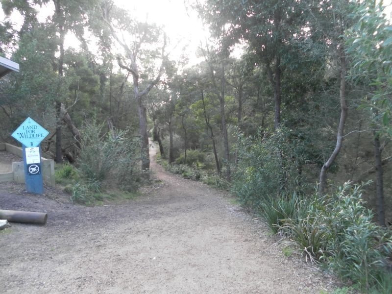 1/7 Park Road, Mount Waverley VIC 3149