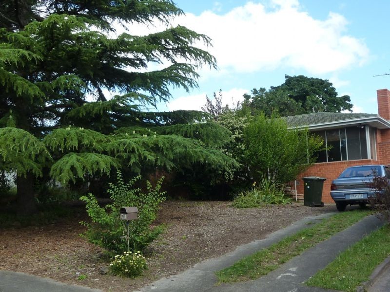 16 Tamala Avenue, Notting Hill VIC 3168