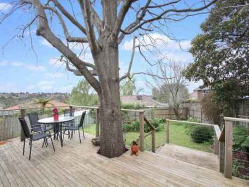 20 Allister Street, Mount Waverley VIC 3149