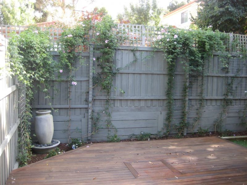 2/14 Jellicoe Street, Box Hill South VIC 3128