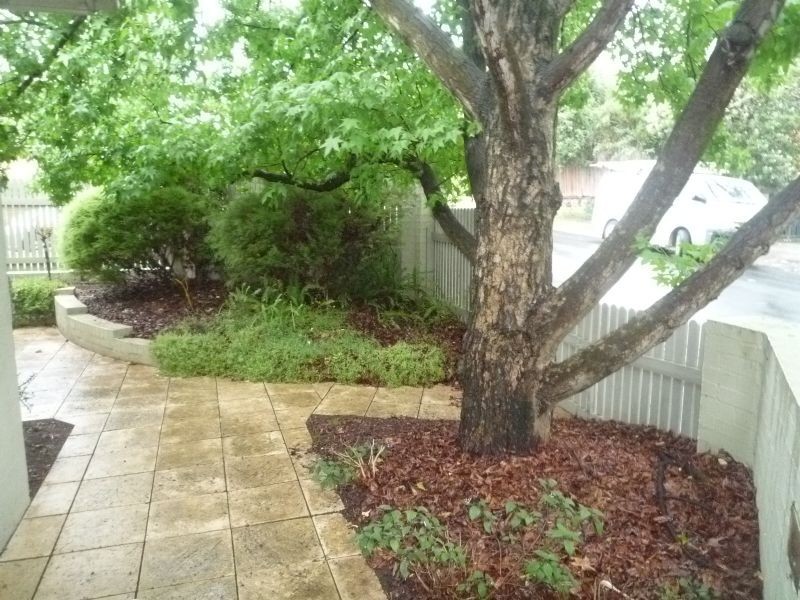 2 Drewett Street, Surrey Hills VIC 3127