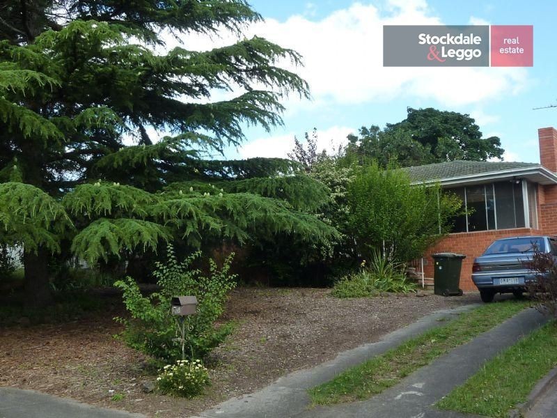 16 Tamala Avenue, Notting Hill VIC 3168