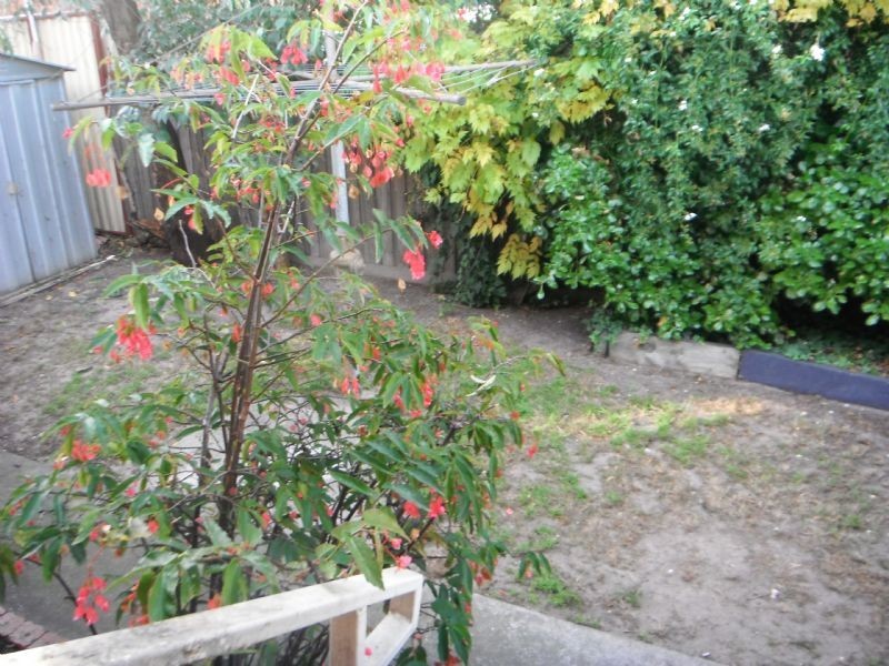 3/48A Noble Street, Noble Park VIC 3174