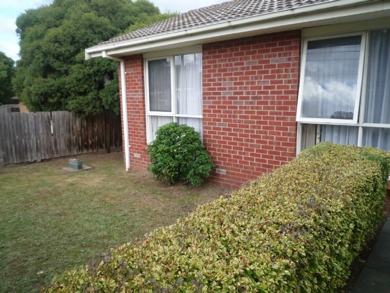 2/149 Coleman Parade, Glen Waverley VIC 3150