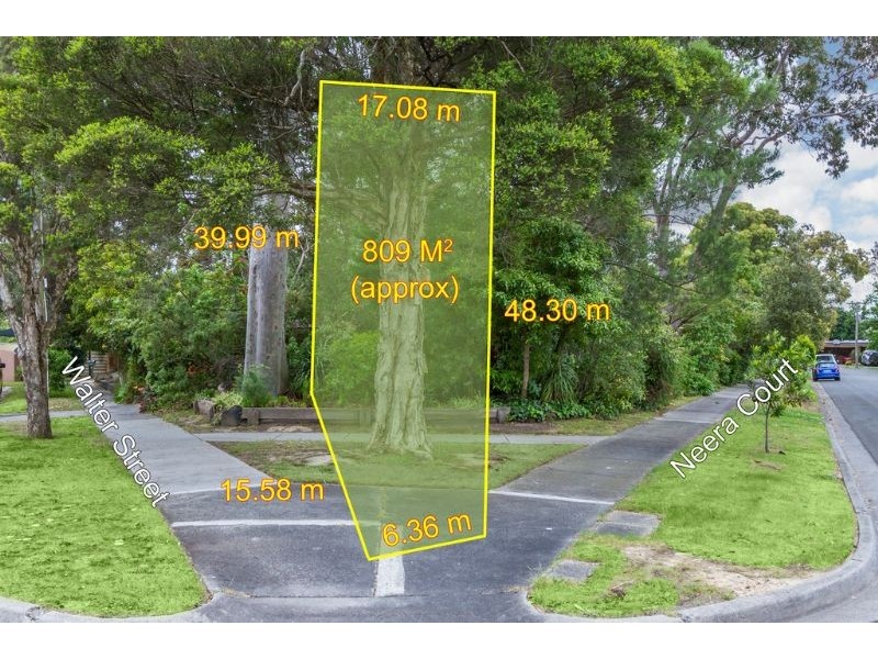 8 Walter Street, Glen Waverley VIC 3150