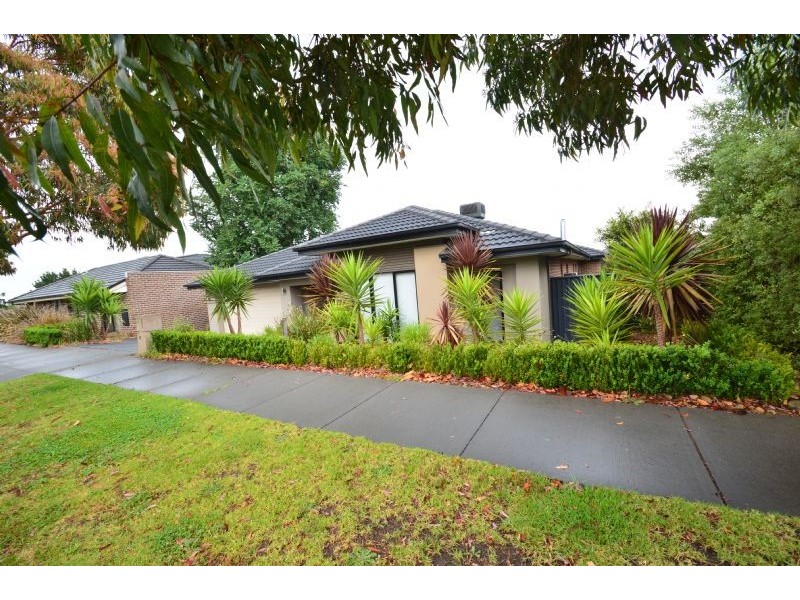 37 Camville Road, Mulgrave VIC 3170