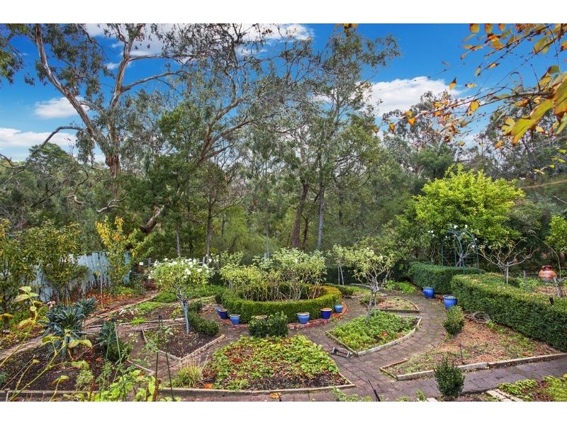 29 Regent Street, Mount Waverley VIC 3149