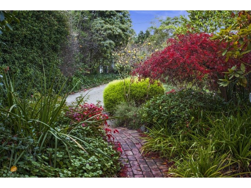 29 Regent Street, Mount Waverley VIC 3149