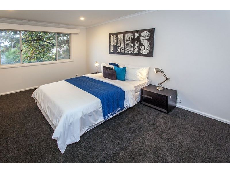24 Andrews Street, Burwood VIC 3125
