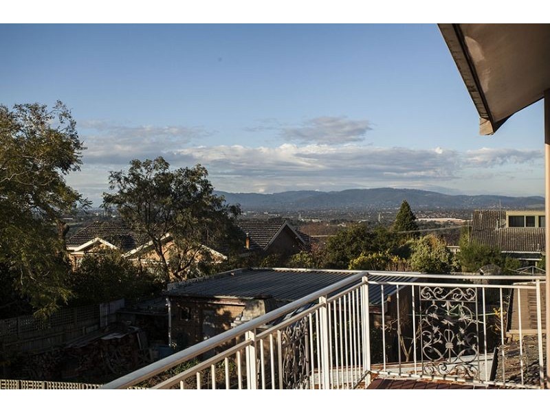 53 Wilson Road, Glen Waverley VIC 3150