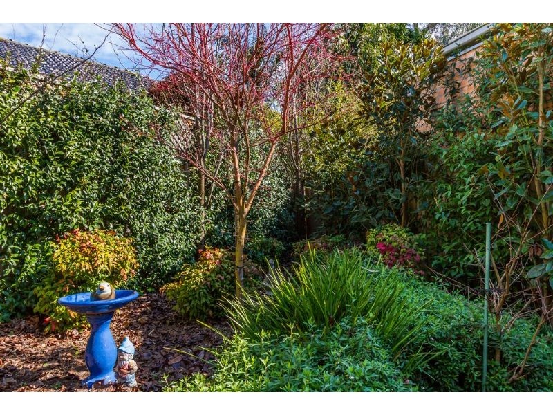 3/21 Farquharson Street, Mount Waverley VIC 3149