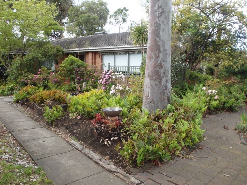 3 Matlock Avenue, Mulgrave VIC 3170