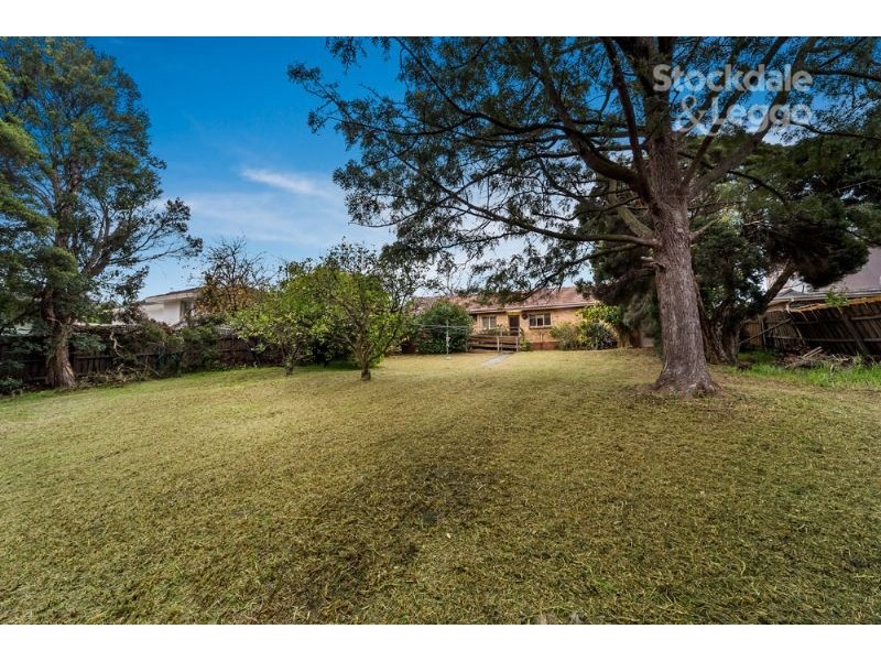 7 Churchill Avenue, Chadstone VIC 3148