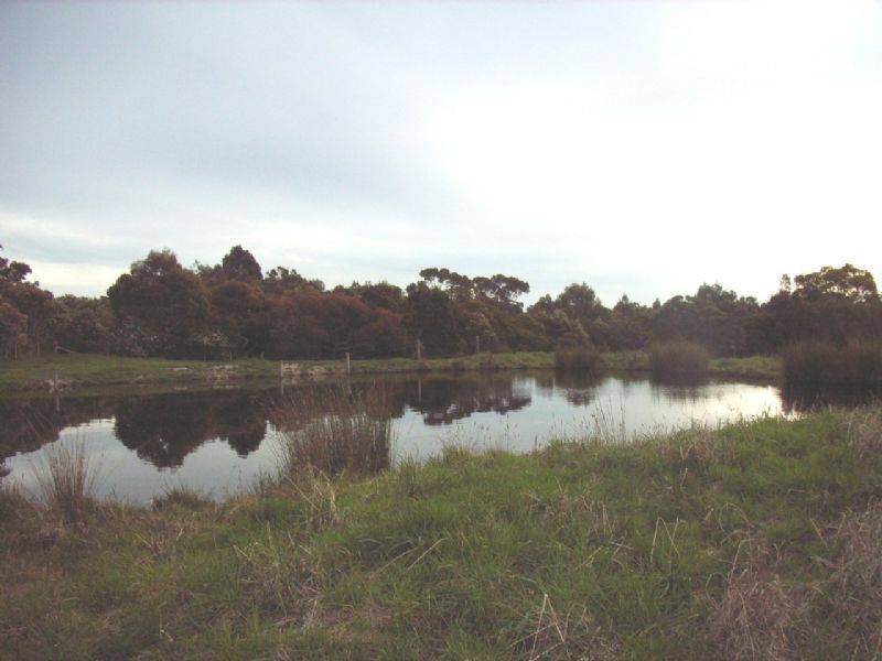 35 Buffalo – Stony Creek Rd, Buffalo VIC 3958