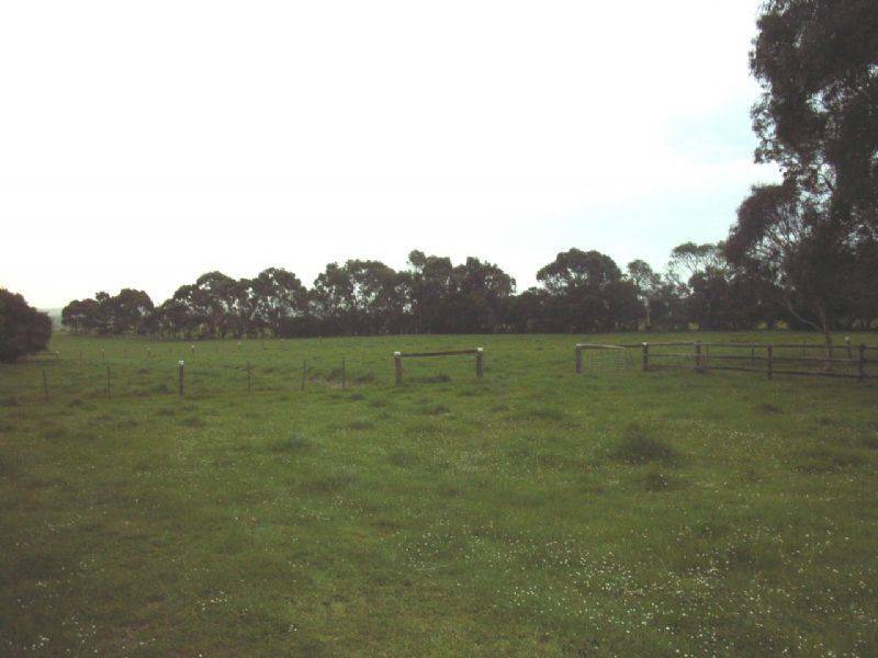 35 Buffalo – Stony Creek Rd, Buffalo VIC 3958