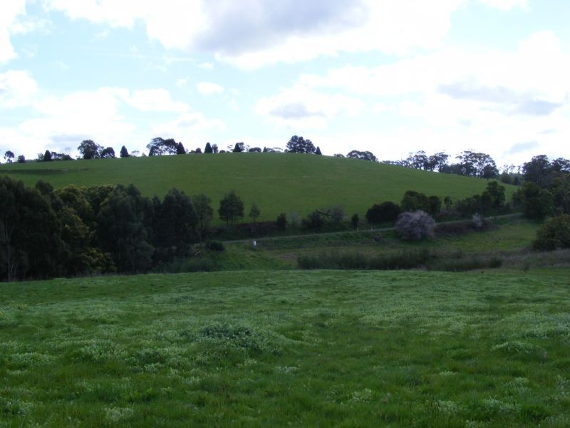 * Meeniyan – Nerrena Rd, Nerrena VIC 3953