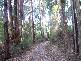 0 Pitt Rd, Hallston VIC 3953