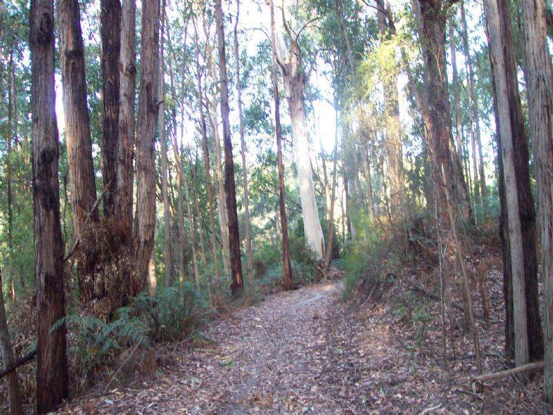 0 Pitt Rd, Hallston VIC 3953