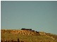 775 Dollar Rd, Dumbalk VIC 3956
